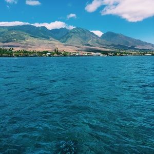 Meet your Posher, Noelle